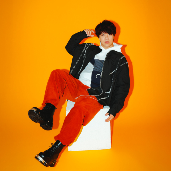 わんちゃんわんわんねこにゃんにゃん